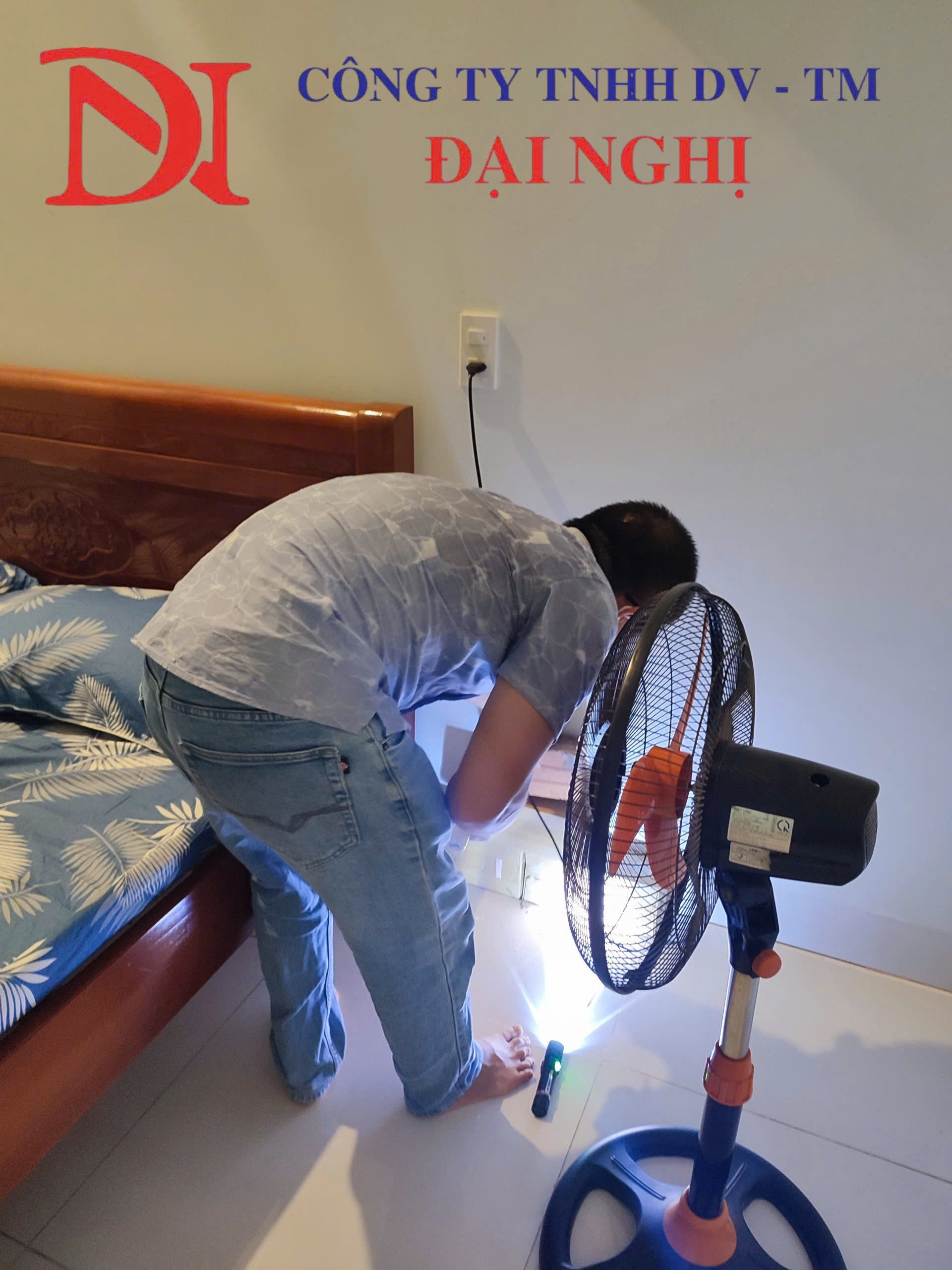 Diệt mối tận gốc cho nhà dân tại Tam Kỳ - An toàn, không độc hại, phương án rõ ràng
