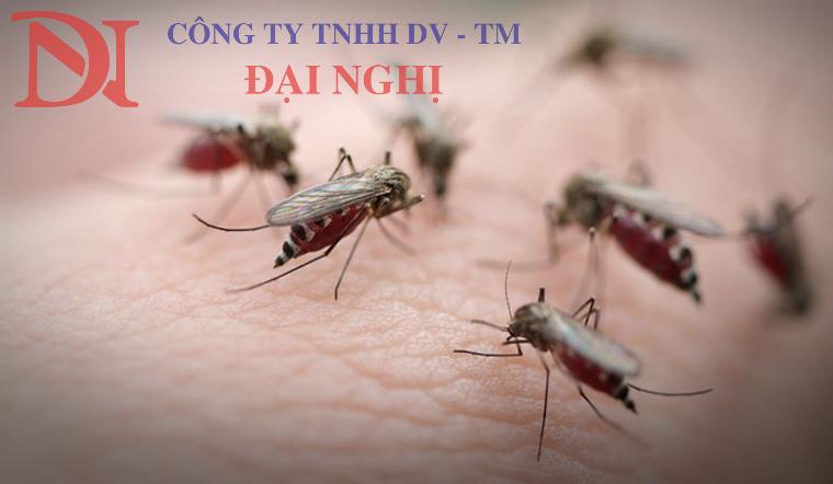 diệt côn trùng tại cơ quan, văn phòng Tam Kỳ