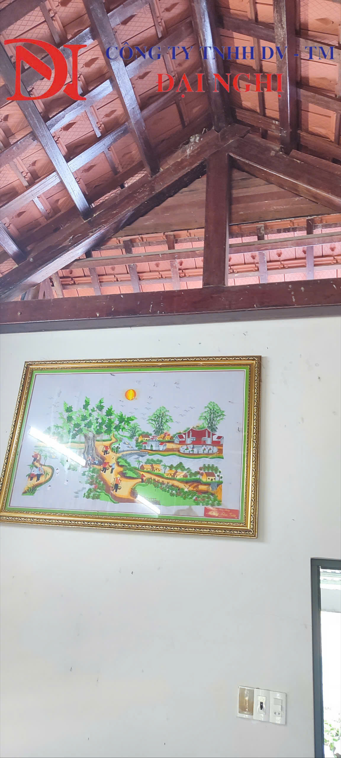 Diệt mối tận gốc tại Phú Ninh – Dịch vụ giá rẻ, uy tín của Đại Nghị