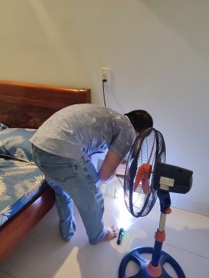 Dịch vụ khảo sát và diệt mối tận gốc miễn phí tại Tam Kỳ của công ty Đại Nghị.