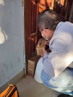 Diệt mối tận gốc tại Tam Kỳ – Giải pháp phòng ngừa mối quay lại lâu dài của công ty Đại Nghị