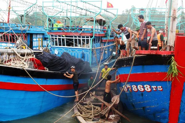 Diệt mối tàu thuyền tại Tam Kỳ của công ty Đại Nghị