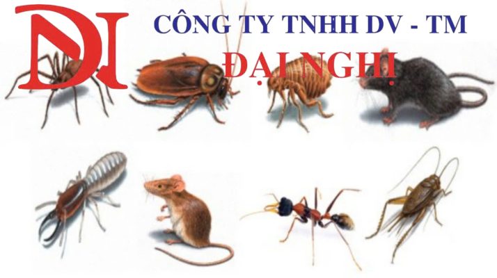 Dịch vụ diệt côn trùng tại Phú Ninh – Xử lý muỗi, gián, kiến cho nhà ở và khu công nghiệp an toàn và hiệu quả