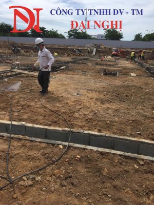 Diệt mối tại Tam Kỳ chuyên nghiệp – Cam kết sạch mối 100%, quy trình rõ ràng, bảo hành uy tín, đọi ngũ nhiều kinh nghiệm